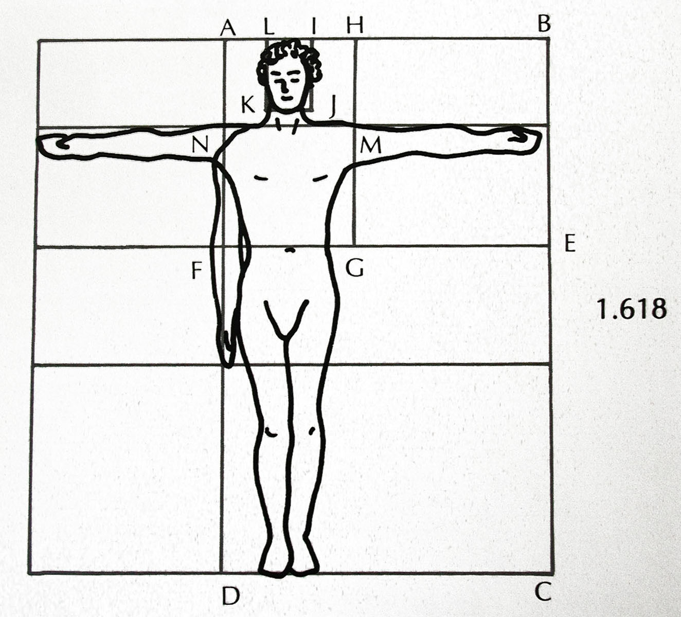 det gylne snitt - menneskekroppen