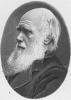Darwin