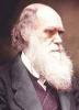 Darwin