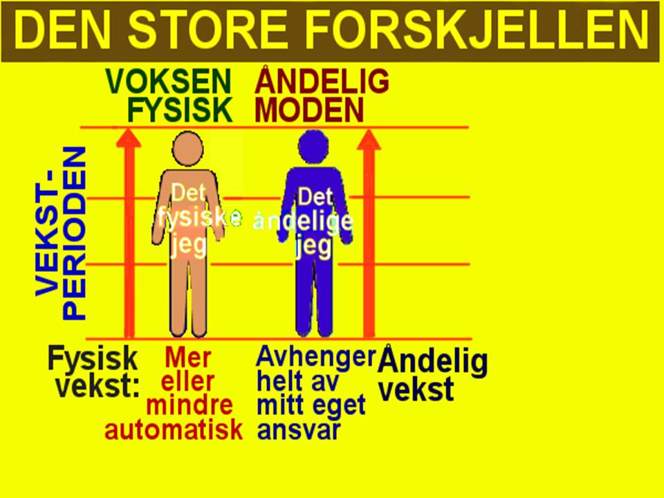 Forskjellen